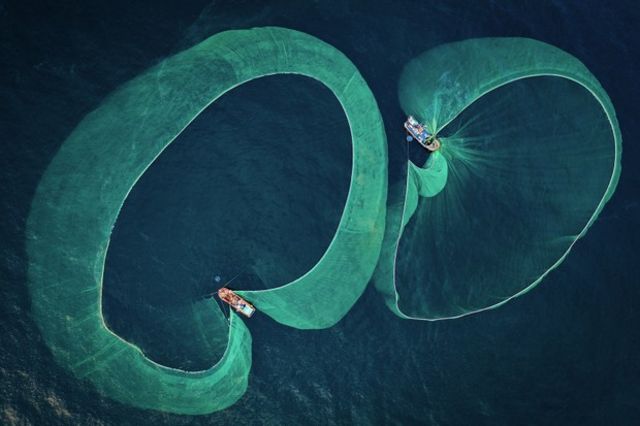 Pesca de anchoas en Vietnam