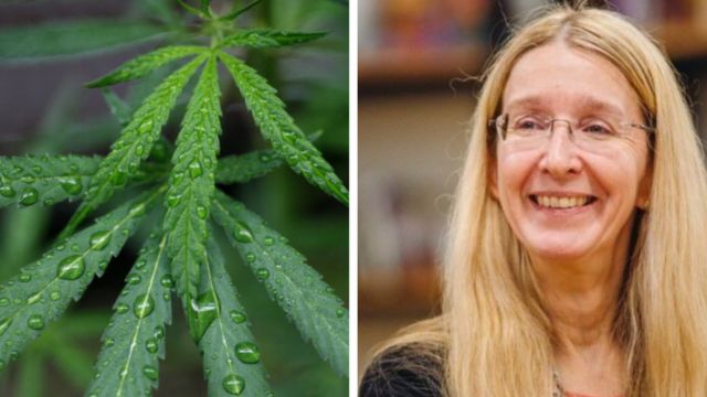 Почему запретили марихуану как получить женское растение конопли