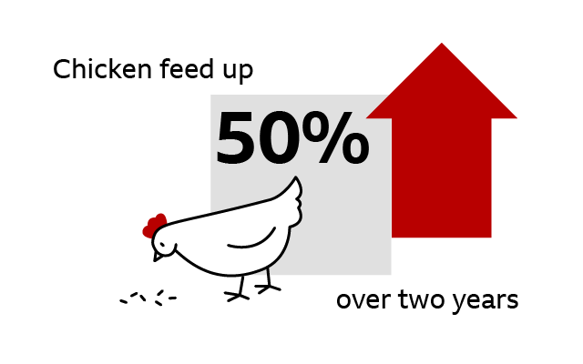 Key stat: Chicken feed up by 50% over two years