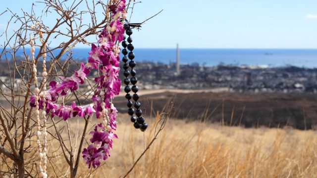 Четки и цветочная гирлянда на сгоревшем кусте