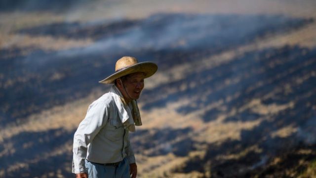 Man working in a Japanese field