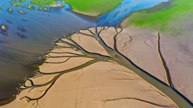 Water channels in bed of Poyang Lake