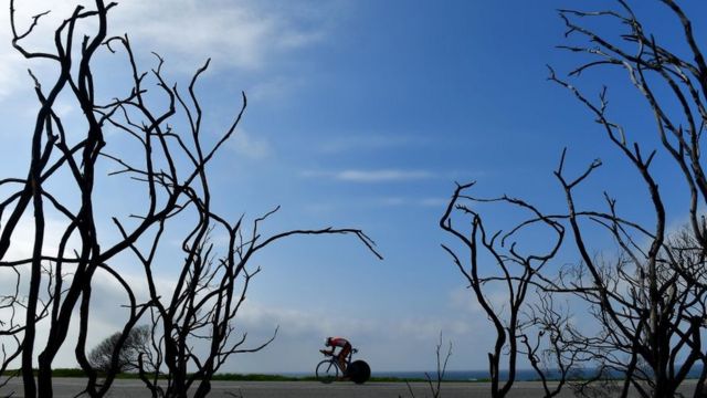 A triathlete bikes through petrifies trees during the Isuzu IRONMAN 70.3 World Championship Women on September 1, 2018 in Port Elizabeth, South Africa. Over 4,500 athletes from over 100 countries will be represented in this years 70.3 World Championship.