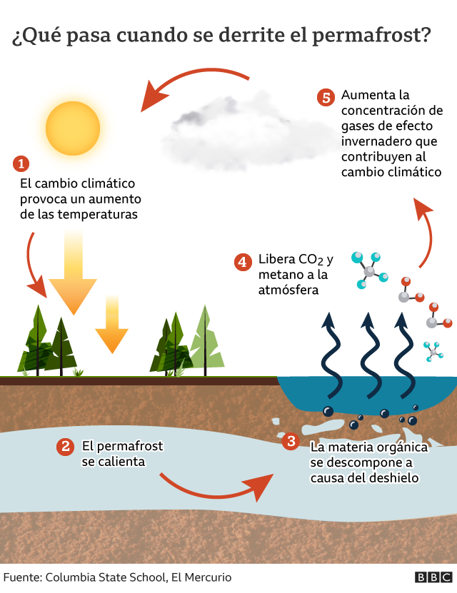 Infografía que muestra qué pasa cuando se derrite el permafrost