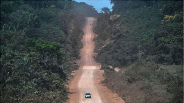 अॅमेझॉनच्या जंगलातून गेलेला रस्ता
