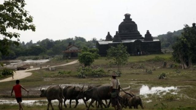ရခိုင်ပြည်နယ်