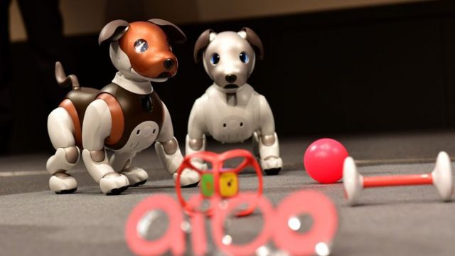 Des versions du chien robot "Aibo" de Sony, de la taille d'un chiot, dont un modèle spécial limité à 2019 en couleur (L), sont présentées lors d'une conférence de presse au siège de la société à Tokyo le 23 janvier 2019