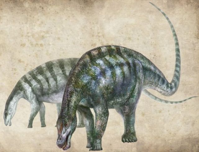 El fósil descubierto en China que obliga a reescribir la historia del  supercontinente Pangea (y de paso de los dinosaurios) - BBC News Mundo
