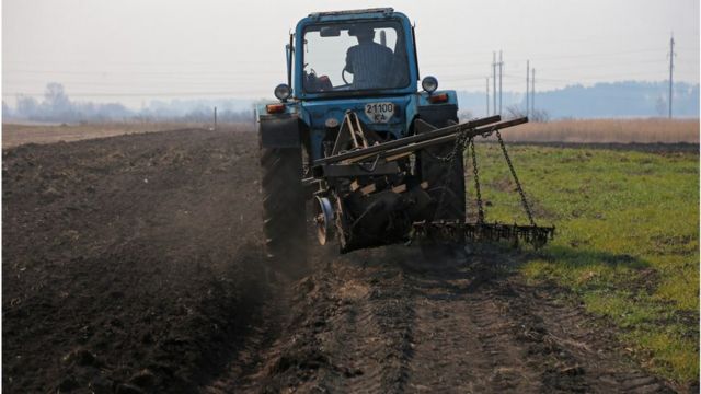 сільське господарство