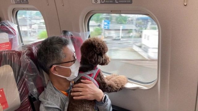 كلب أليف مع صديقه في رحلة في اليابان بالقطار