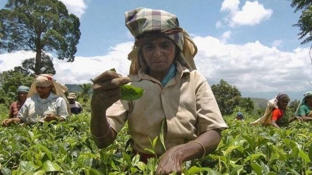 மலையக தமிழர்