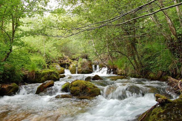 desa, balkan, makedonia