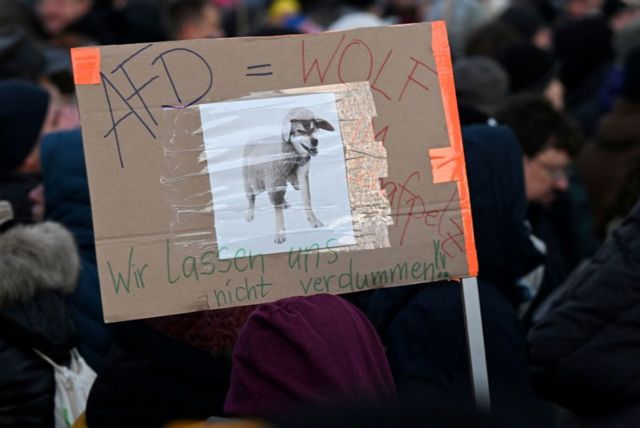 Демонстрация в Гамбурге