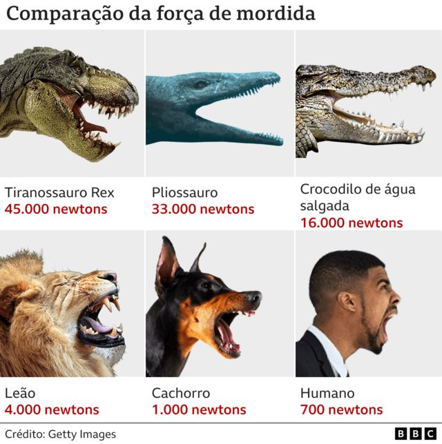 Comparação de força de mordida