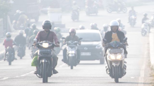 Kebakaran Hutan Dan Lahan: Kabut Asap Jambi Dan Palembang, Seberapa ...