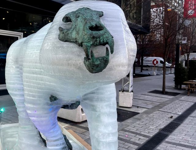 Fotografia mostra escultura de gelo com urso polar derretendo e deixando caveira exposta