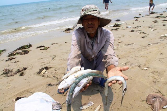 Formosa, môi trường, Việt Nam