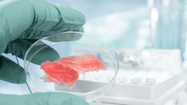 What is lab-grown meat? How it's made, environmental impact and more - BBC  Science Focus Magazine