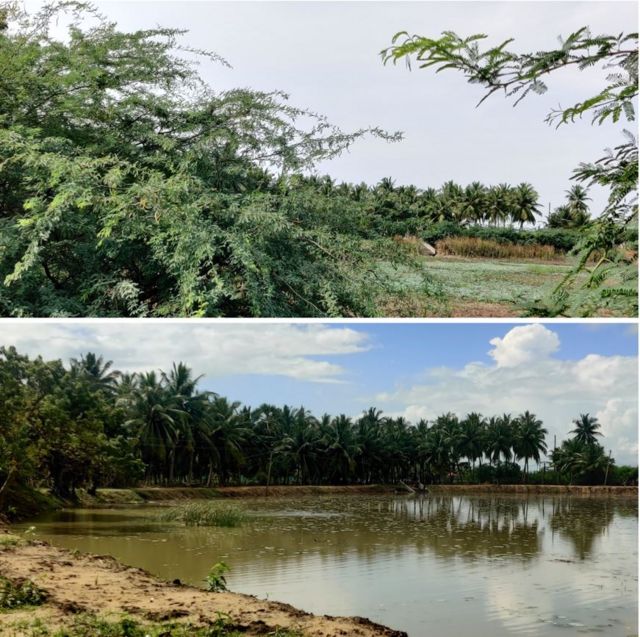 நிமல் ராகவன்