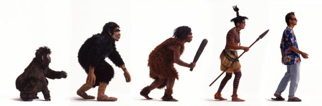 Gráfico de la evolución de los humanos desde primates hasta la actualidad.