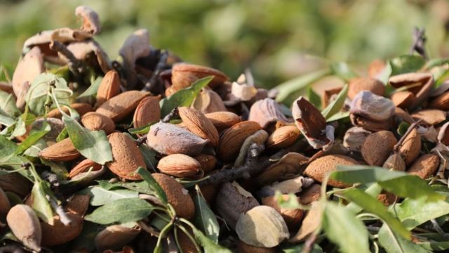 Como e Porque COMER FÍGADO  O Alimento Mais Nutritivo do Planeta 