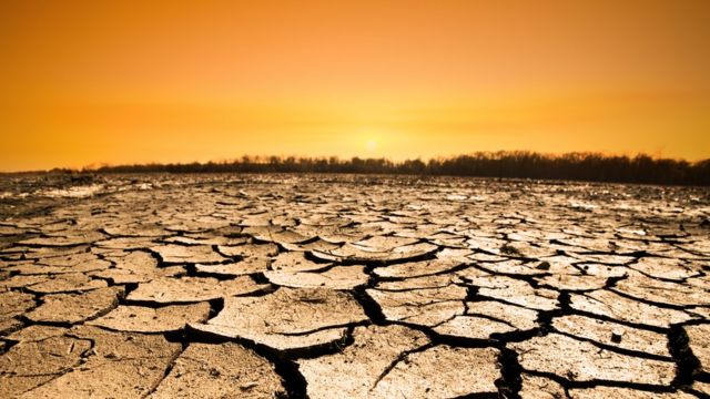 Зміна клімату: 18 місяців, щоб врятувати планету - BBC News Україна