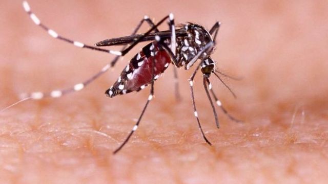 OMS/WHO ivuga ko intambara yo kurwanya malaria itava aho iri - BBC News ...