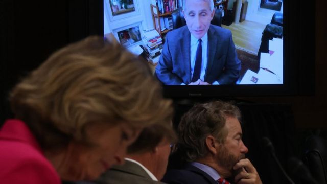 Senators in Washington, DC listen as Dr Fauci testifies remotely