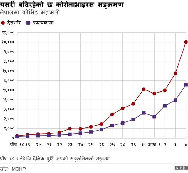 कोभिड पुष्टि दर