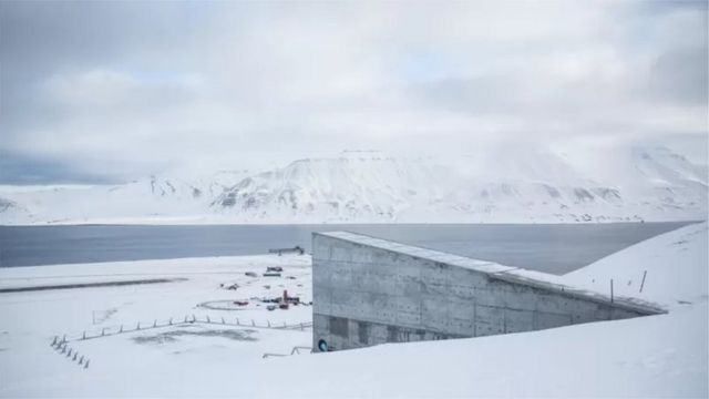 挪威种子库(photo:BBC)