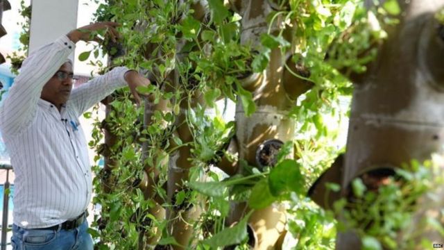 கொரோனா, வருமானம், விவசாயம்