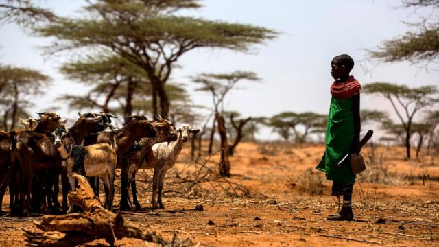 Kenya