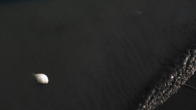 கொற்றலை ஆறு