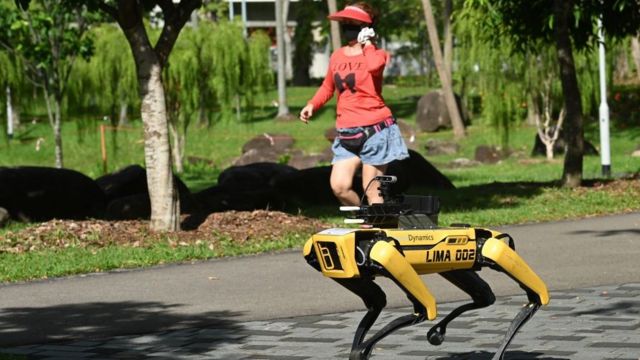 робот в Сингапуре