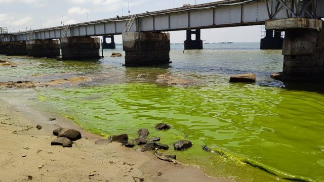 கடல் நீர் பச்சையாக மாற்றம்
