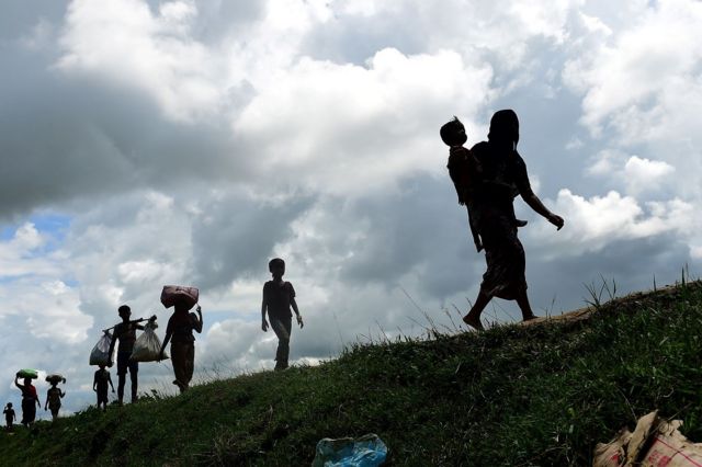 rohingya