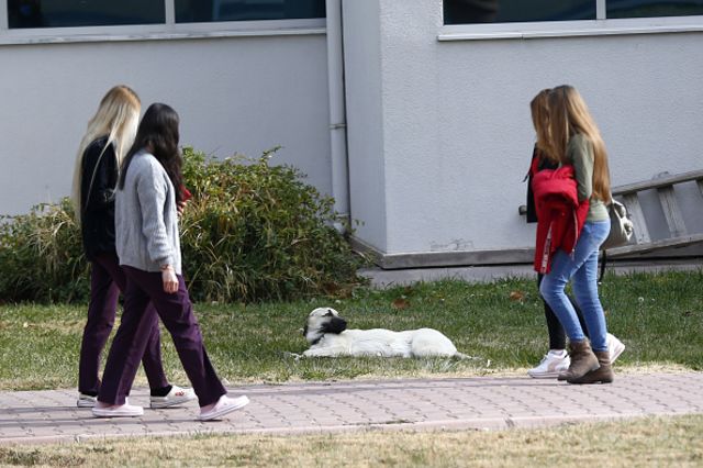 kampüste öğrenciler