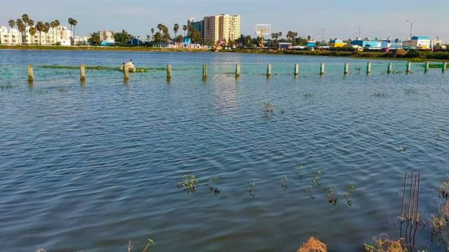 நீர்நிலைகள் ஆக்கிரமிப்பு