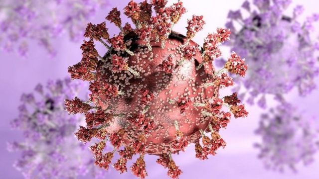 Somerset Omicron Cases Linked To Party Bbc News