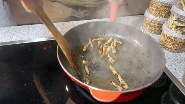 வெட்டுக்கிளிகள் உண்மையில் மாட்டிறைச்சிக்கு மாற்றாக முடியுமா?