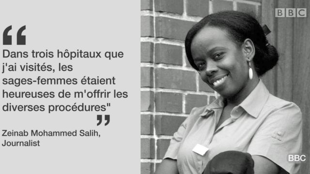 La journaliste Zeinab M. Salih