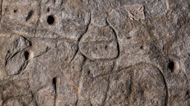 Markings on the rock