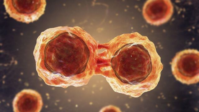 எய்ட்ஸ், புற்றுநோய்க்கு ஒரே சிகிச்சையில் தீர்வு