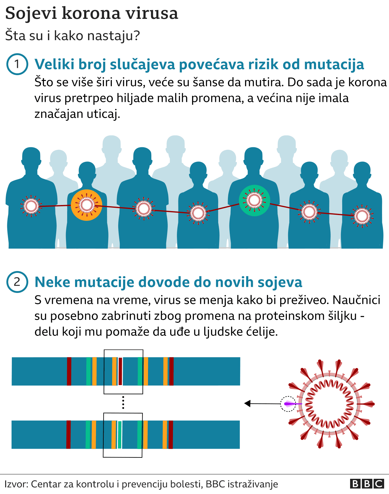 Korona Virus I Sojevi Kako Se Stiglo Do Omikrona I Zašto Su Neka Slova Preskočena Bbc News Na 7354