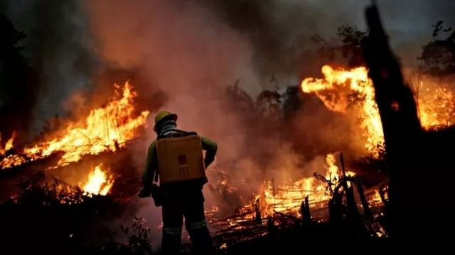 Brigadista durante incêndio