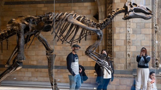 Visitors interact with Mantellisaurus Atherfieldensis or Iguanodon at the Museum of Natural History on April 27, 2022 