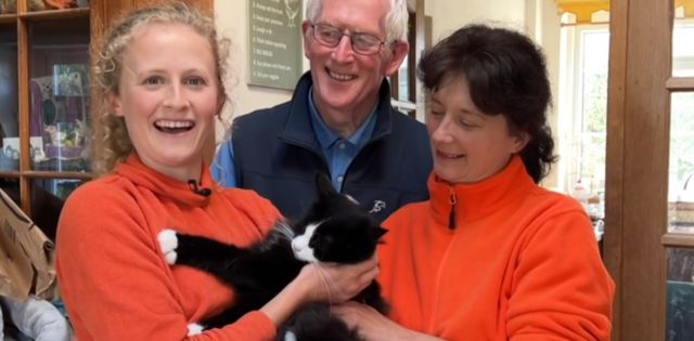 பூனை குடும்பம்