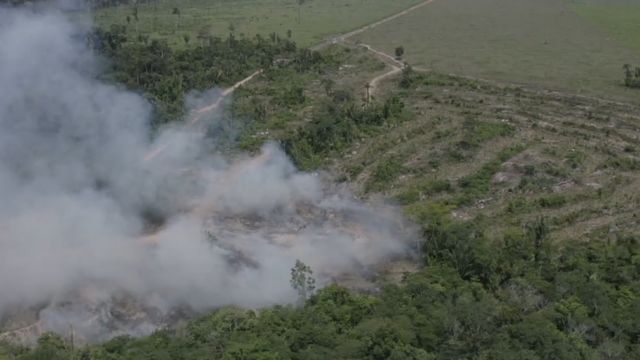Incêndio em Rondônia