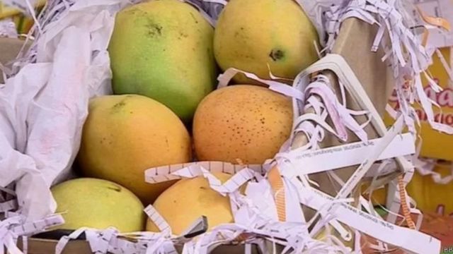 Mango baskets, sweets and cakes: How right or wrong it is to receive gifts in journalism (Roz Dunya News) Mango baskets, sweets and cakes: How right or wrong it is to receive gifts in journalism (Roz Dunya News)