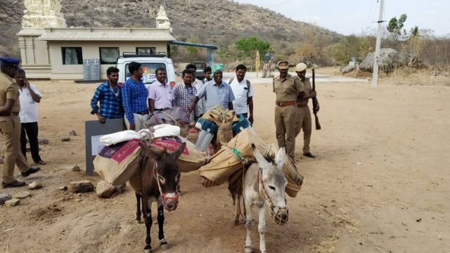 கழுதை